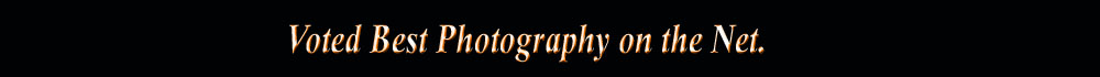 Voted best foot fetish photography on the net. Updated with new models everyday!